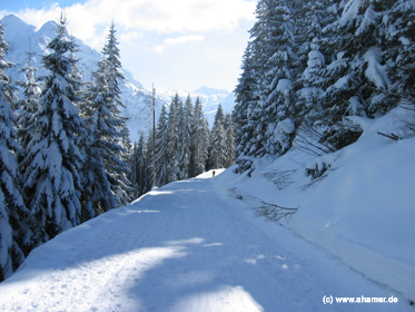 gleitweg_ahamer_winter