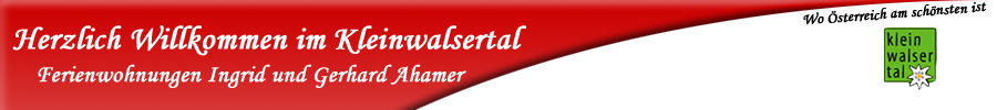 header_s_logo