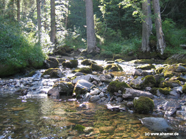 wandern_ahamer_sommer